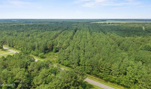 Photo #8 of Indian Hill, Willard, NC 75.7 acres
