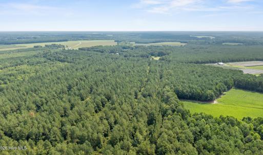 Photo #4 of Indian Hill, Willard, NC 75.7 acres
