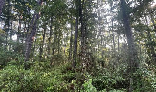 Photo #14 of Lot 2 & 3 Strawhorn Creek, Aurora, NC 2.4 acres