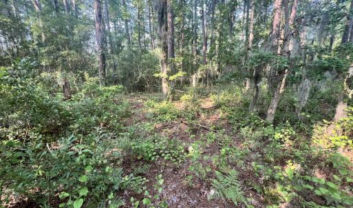 Photo #12 of Lot 2 & 3 Strawhorn Creek, Aurora, NC 2.4 acres