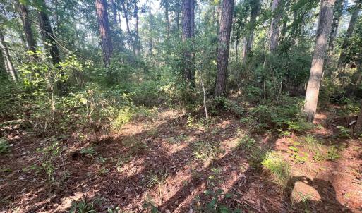 Photo #10 of Lot 2 & 3 Strawhorn Creek, Aurora, NC 2.4 acres