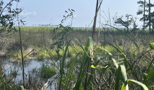 Photo #8 of Lot 2 & 3 Strawhorn Creek, Aurora, NC 2.4 acres