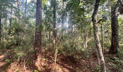 Photo #15 of Lot 2 & 3 Strawhorn Creek, Aurora, NC 2.4 acres