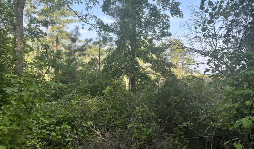 Photo #16 of Lot 2 & 3 Strawhorn Creek, Aurora, NC 2.4 acres