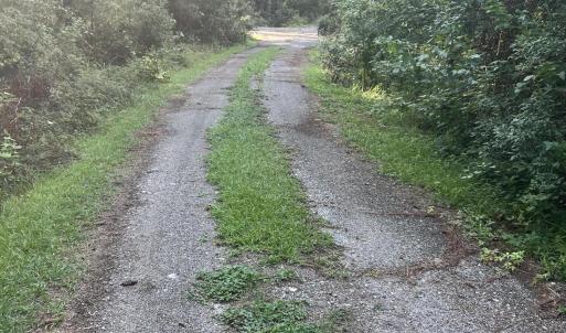 Photo #13 of Lot 2 & 3 Strawhorn Creek, Aurora, NC 2.4 acres