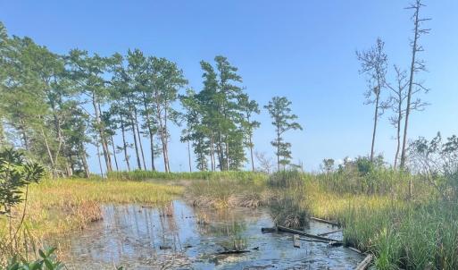 Photo #9 of Lot 2 & 3 Strawhorn Creek, Aurora, NC 2.4 acres