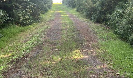 Photo #5 of Lot 2 & 3 Strawhorn Creek, Aurora, NC 2.4 acres