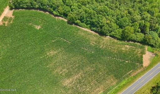 Photo #33 of 03 Titan Roberts, Erwin, NC 12.0 acres