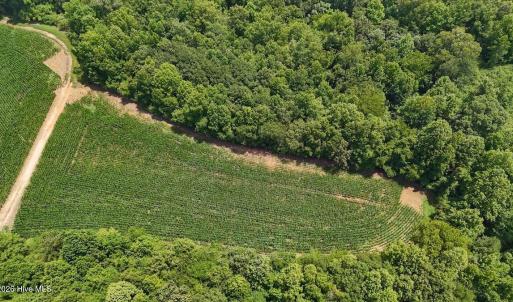 Photo #32 of 03 Titan Roberts, Erwin, NC 12.0 acres