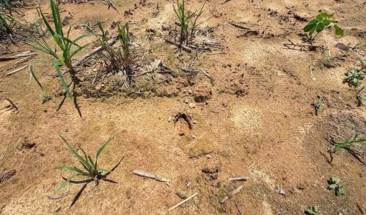 Photo #21 of 03 Titan Roberts, Erwin, NC 12.0 acres