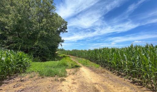 Photo #17 of 03 Titan Roberts, Erwin, NC 12.0 acres