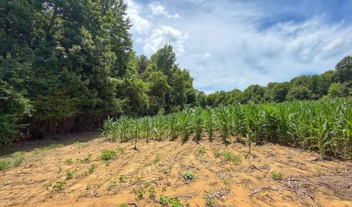 Photo #20 of 03 Titan Roberts, Erwin, NC 12.0 acres