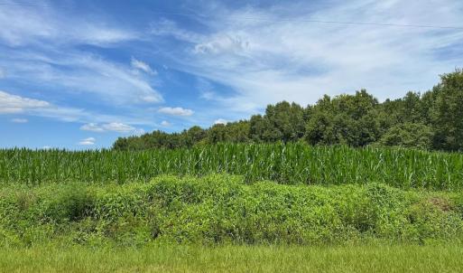 Photo #4 of 03 Titan Roberts, Erwin, NC 12.0 acres