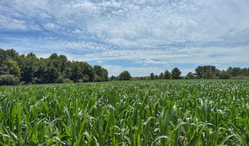 Photo #29 of 03 Titan Roberts, Erwin, NC 12.0 acres