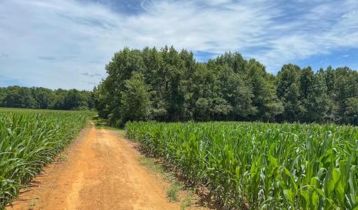 Photo #23 of 04 Titan Roberts, Erwin, NC 15.0 acres