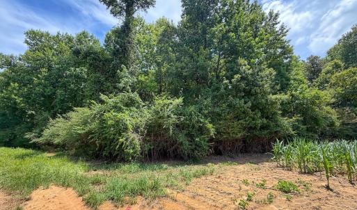Photo #18 of 04 Titan Roberts, Erwin, NC 15.0 acres