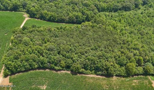 Photo #29 of 04 Titan Roberts, Erwin, NC 15.0 acres
