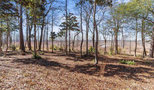 Photo #5 of 1405 Ness, Castle Hayne, NC 0.5 acres