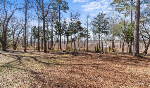 Photo #9 of 1405 Ness, Castle Hayne, NC 0.5 acres