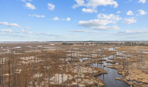 Photo #10 of 1405 Ness, Castle Hayne, NC 0.5 acres