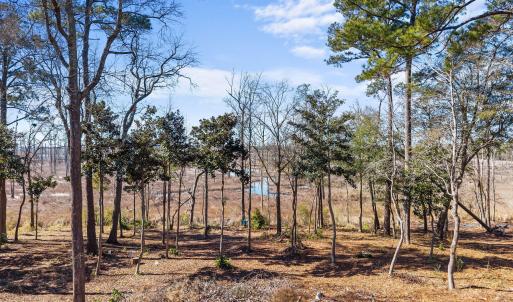 Photo #4 of 1405 Ness, Castle Hayne, NC 0.5 acres