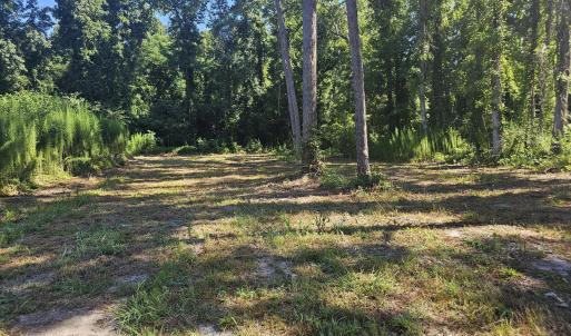 Photo #7 of 4278 Us 117, Burgaw, NC 8.4 acres