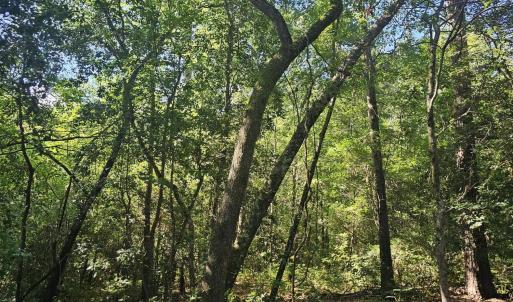 Photo #15 of 4278 Us 117, Burgaw, NC 8.4 acres