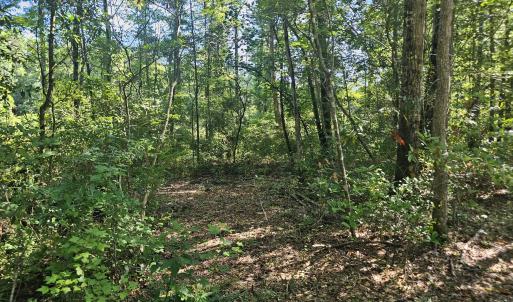 Photo #11 of 4278 Us 117, Burgaw, NC 8.4 acres