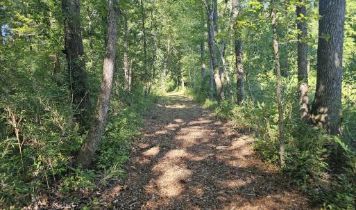 Photo #13 of 4278 Us 117, Burgaw, NC 8.4 acres