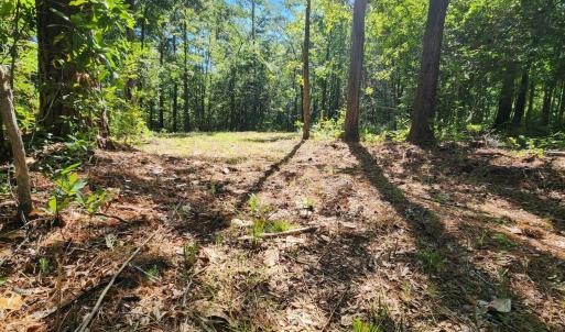 Photo #9 of 4278 Us 117, Burgaw, NC 8.4 acres