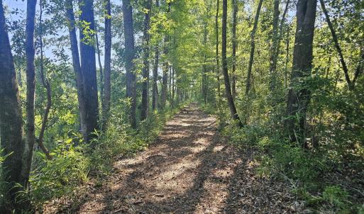 Photo #14 of 4278 Us 117, Burgaw, NC 8.4 acres