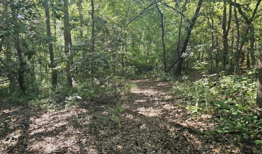 Photo #16 of 4278 Us 117, Burgaw, NC 8.4 acres