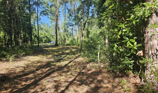 Photo #10 of 4278 Us 117, Burgaw, NC 8.4 acres