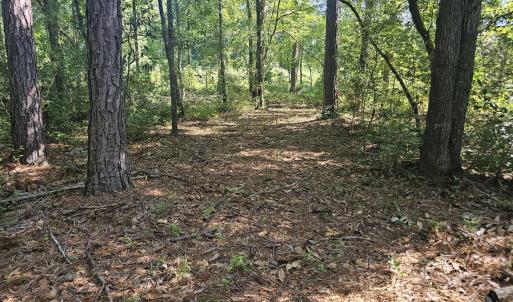 Photo #12 of 4278 Us 117, Burgaw, NC 8.4 acres