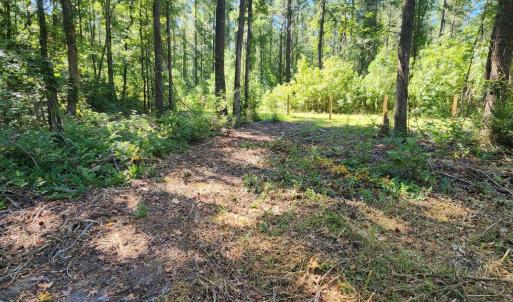 Photo #8 of 4278 Us 117, Burgaw, NC 8.4 acres