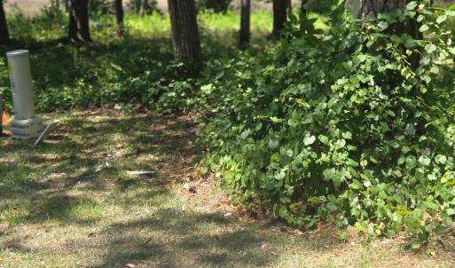 Photo #2 of 3183 Mullet Creek, Bolivia, NC 0.3 acres