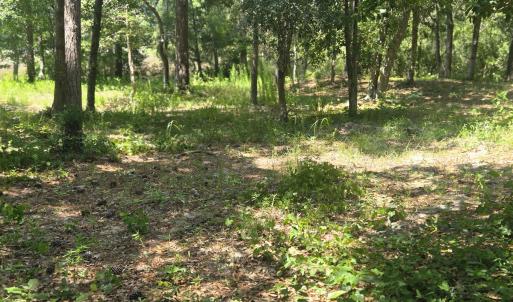 Photo #5 of 3183 Mullet Creek, Bolivia, NC 0.3 acres