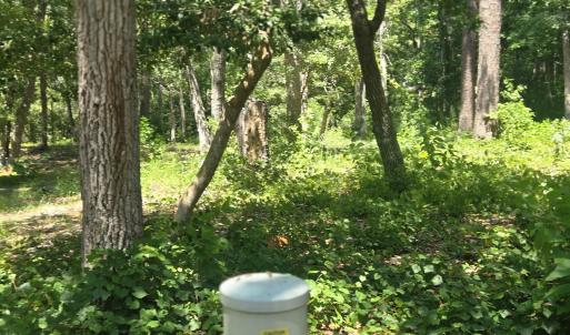 Photo #6 of 3179 Mullet Creek, Bolivia, NC 0.3 acres