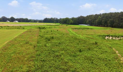 Photo #4 of 4335 J C Galloway, Greenville, NC 1.7 acres