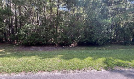 Photo #3 of 42 Windy, Belhaven, NC 4.0 acres
