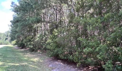 Photo #4 of 42 Windy, Belhaven, NC 4.0 acres