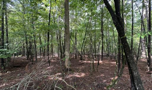 Photo #4 of B15 L26 Blair, McCormick, SC 0.6 acres