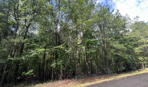 Photo #3 of B15 L26 Blair, McCormick, SC 0.6 acres