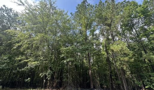 Photo #1 of B15 L26 Blair, McCormick, SC 0.6 acres