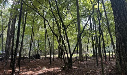 Photo #12 of B15 L26 Blair, McCormick, SC 0.6 acres