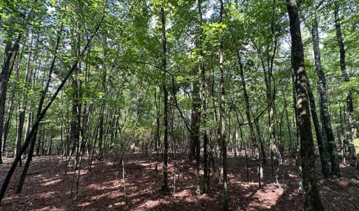 Photo #6 of B15 L26 Blair, McCormick, SC 0.6 acres