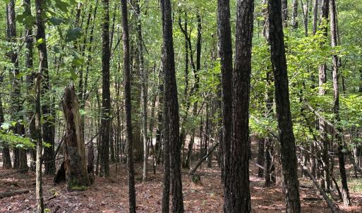 Photo #9 of B15 L26 Blair, McCormick, SC 0.6 acres