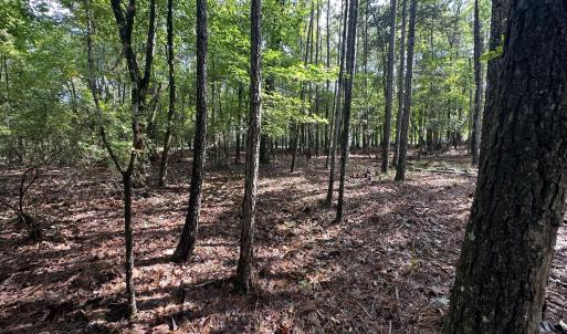 Photo #10 of B15 L26 Blair, McCormick, SC 0.6 acres