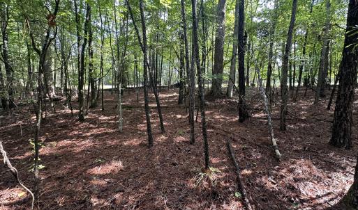 Photo #8 of B15 L26 Blair, McCormick, SC 0.6 acres