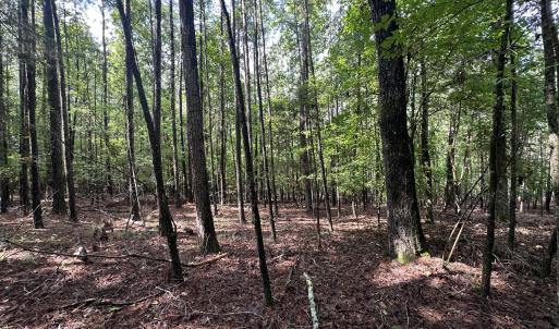 Photo #7 of B15 L26 Blair, McCormick, SC 0.6 acres